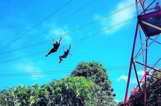 Half Day Tour in Rainforest Zipline Park with Transportation - What to Bring: Small Things That Save Big Annoyance