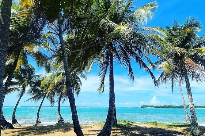 Hidden Fresh Spring of Water+ Cave+ Beach & Food Full Day Tour - Key Highlights You Should Care About