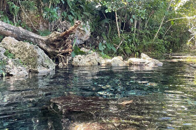 Hidden Fresh Spring of Water+ Cave+ Beach & Food Full Day Tour - Playa Mar Chiquita: Snorkeling, Fish, and Time to Just Relax