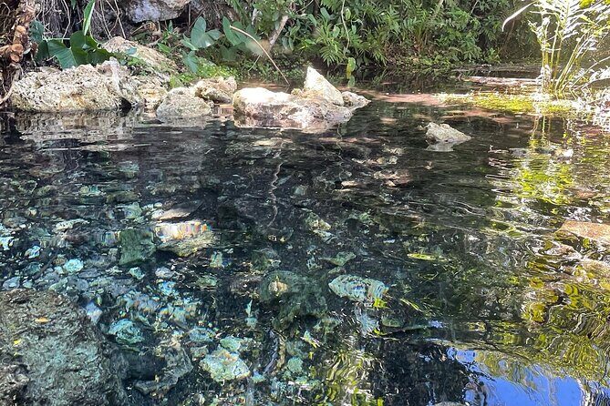 Hidden Fresh Spring of Water+ Cave+ Beach & Food Full Day Tour - Who Should Book This Tour (and Who Should Think Twice)