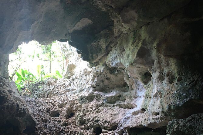 Hidden Gems of the North, Puerto Rico Private Tour - A Half-Day North Coast Plan That Actually Fits