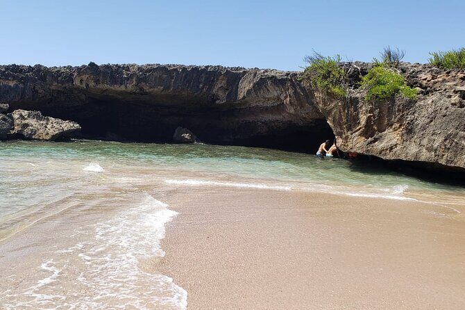 Hidden Gems of the North, Puerto Rico Private Tour - The Natural Cave Stop: Live Sights, Not Just a Wall Photo