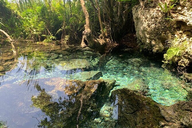 Hidden Gems of the North, Puerto Rico Private Tour - Price and Value: Is $199 Worth It?