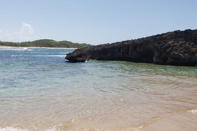 Hidden Gems of the North, Puerto Rico Private Tour - What You’ll Learn (And Why Your Guide’s Style Counts)