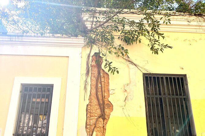 Instagramable Places in Old San Juan Tour - La Fortaleza (Palacio de Santa Catalina): official power, first fortifications in the harbor