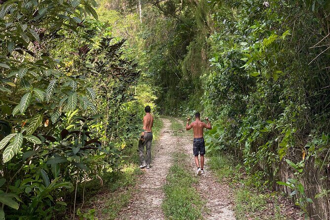 Largest Natural Waterslide, River Hike and Beach Tour in Arecibo - Why Tanama River feels different from the El Yunque crowd scene