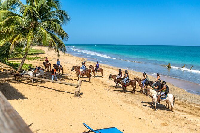 Luquillo Beach Horse Ride from Carabalí Rainforest Adventure Park - The Mameyes River crossing: cool water, clear views, and photo moments