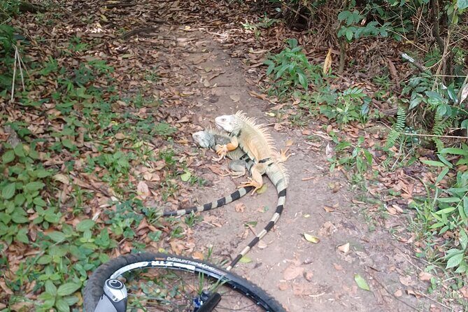 Mountain Bike tour to a Pristine Spring and Cave - Fresh fruit, bottled water, and why breaks matter