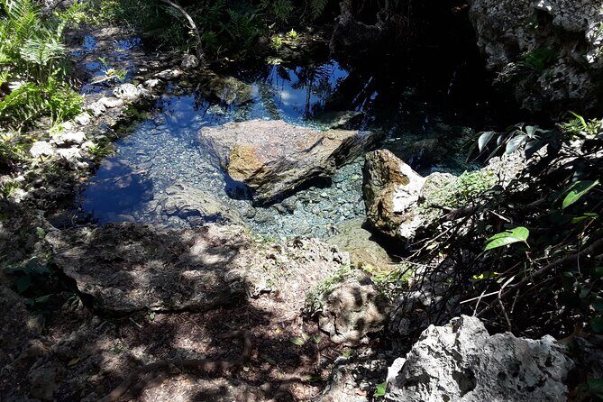 Mountain Bike tour to a Pristine Spring and Cave - Transportation and meeting point: plan your morning arrival