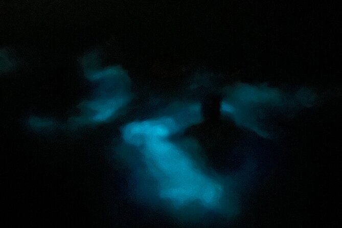 Mystic Waters A Bioluminescent Night Tour - Key things to know before you book