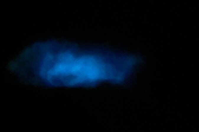 Mystic Waters A Bioluminescent Night Tour - Stop 1 by the Bioluminescent Bay: How the Glow Works in Real Life
