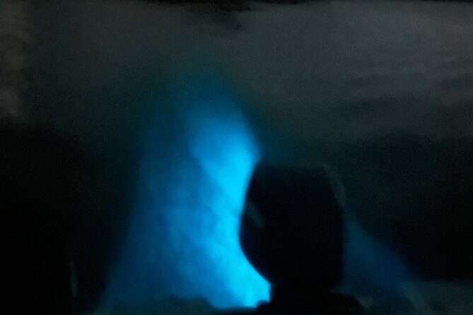 Mystic Waters A Bioluminescent Night Tour - Meeting at La Parguera Lajas and Timing Your Night