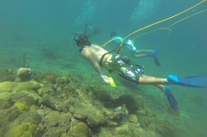 OCTOPUS DIVING (hookah diving) NO Experience Needed - Your 2-Hour Rhythm: Orientation on the Sand, Then 45 Minutes Off the Beach