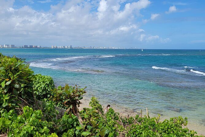 Old San Juan and Piñones Sightseeing Experience! - The Host Factor: Why Luis and Iomar Get Mentioned