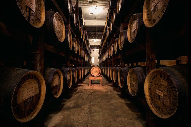 Old San Juan and Rum Factory Full-Day Tour: Minimum 8+ people - Why This Tour Feels Personal: The Small-Group Advantage