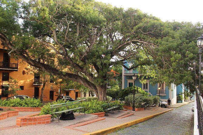 Old San Juan Walking Day and Night Tours - Who This Tour Fits Best (and Who Might Want Something Else)