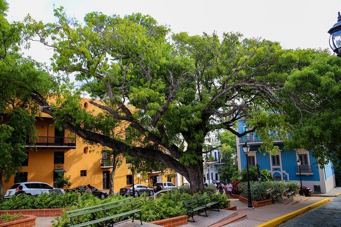 Old San Juan Walking Tour with Fort: 8+ people group - Group size and who this tour is best for