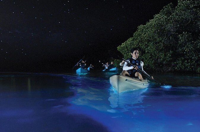 Overnight Bio Bay Kayak Tour in Vieques Island - Is it worth $65.99? The value math for a night BioBay kayak