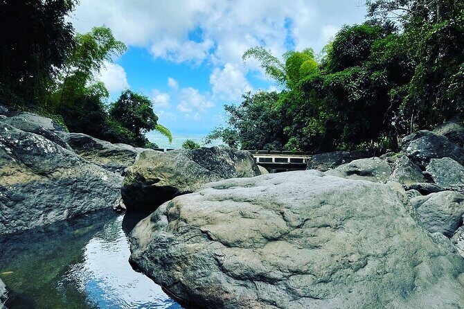 Private El Yunque Tour To Hidden Waterfall Remote Area - The hydrotherapy waterfall moment: yes, it’s as physical as it sounds