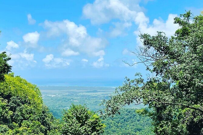 Private El Yunque Tour To Hidden Waterfall Remote Area - Who this tour is best for (and who should reconsider)