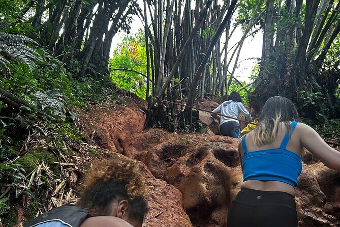 Private El Yunque Tour to Waterslide and Waterfalls - Snorkeling Equipment Included: When It Helps (and When It Doesn’t)