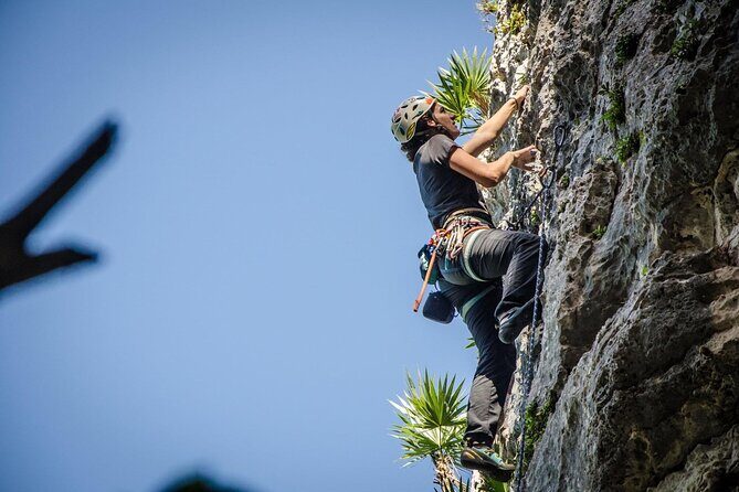Private Guided Rock Climbing Trips in Puerto Rico - Price and value: what $165 per person really buys you