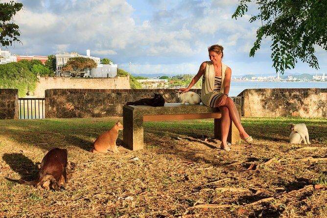 Private Old San Juan Walking Tour - Stop 2: Cuartel de Ballajá, From Barracks to Cultural Institutions