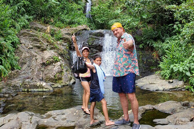 Private Rainforest Waterfalls and Beach Hiking Tour from San Juan - The Private Guide Factor: Why This Day Feels Easy