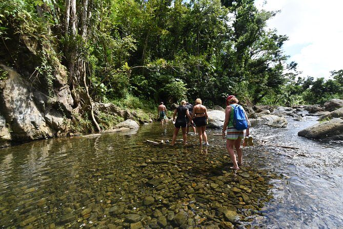 Private Tour of El Yunque Rainforest from San Juan - El Yunque Safety Rules and Fitness Expectations (Read This First)