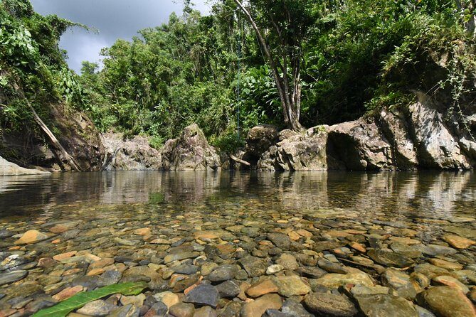 Private Tour of El Yunque Rainforest from San Juan - Stop 2 in El Yunque National Forest: Observation Tower Views or a Lower-Impact Day