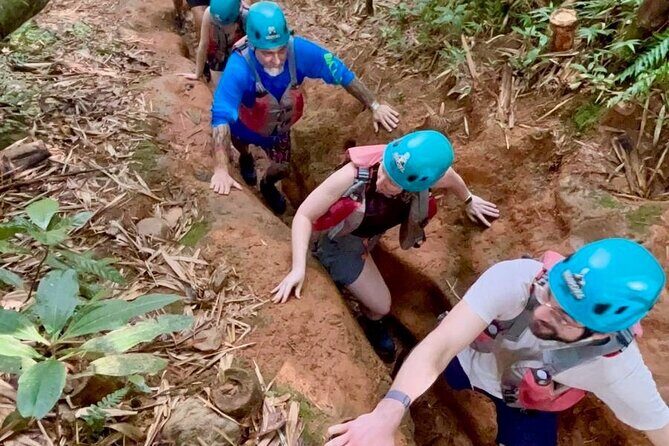 Private Tour of El Yunque Rainforest from San Juan - Timing, Weather, and When the Rainforest Changes the Plan