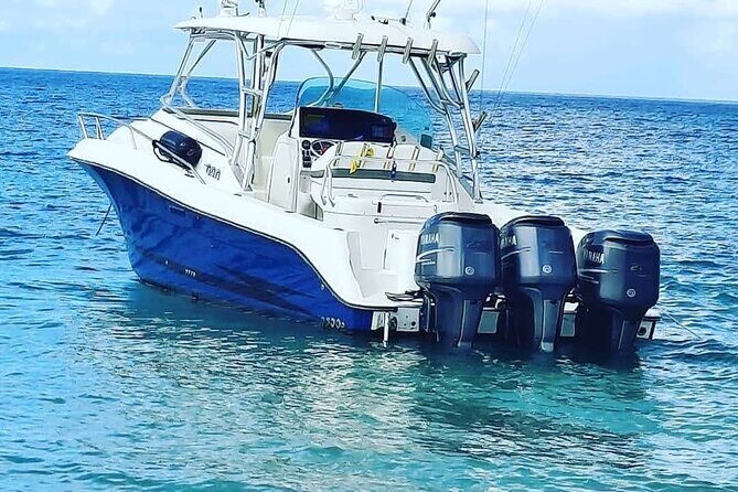 Private Tour to Cayo Icacos and Palomino Island - What to Pack for Icacos and Palominos