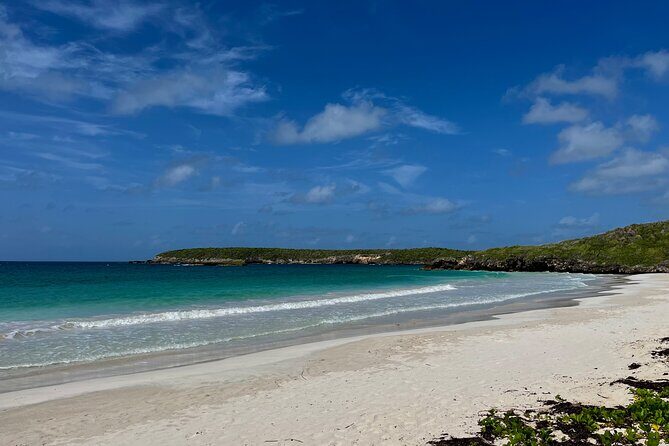 Private Tour to the East Side of Puerto Rico - Before You Go: Weather, Comfort, and What You Should Plan Around