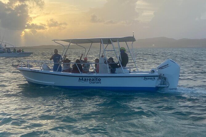 Puerto Rico: Bio Bay Swim and Sunset Charter or Late night tour - Timing: How the Sunset Start Sets Up the Bioluminescence