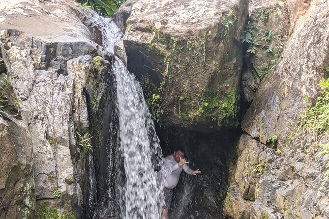 Puerto Rico Countryside Tour with Visit to Waterfall - Carite Forest Reserve: the short rainforest walk and roadside lunch reality