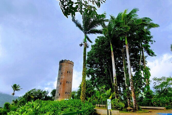 Puerto Rico: El Yunque Sightseeing Half-Day Tour w/Transfer - Key Highlights You’ll Actually Notice