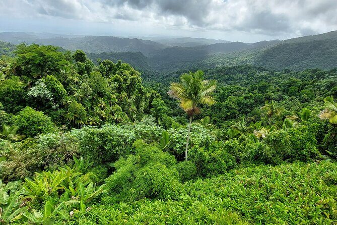 Puerto Rico: El Yunque Sightseeing Half-Day Tour w/Transfer - Junglequí River Time: Where the Day Turns Calm and Peaceful