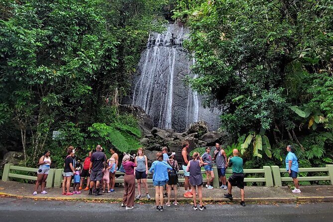 Puerto Rico: El Yunque Sightseeing Half-Day Tour w/Transfer - El Portal Visitor Center: Learn the Forest Rhythm Before You Walk
