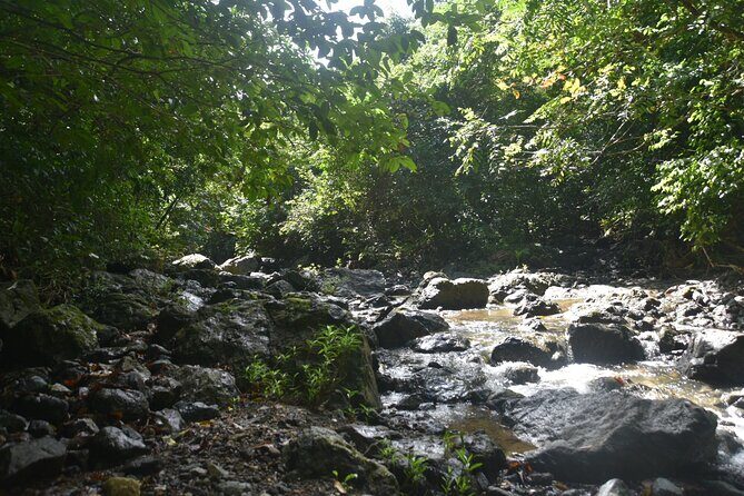 Puerto Rico Waterfall Hiking Tour: Discover Hidden Gems 2.0 - Gear Checklist That Actually Matters (No Flip-Flops Allowed)