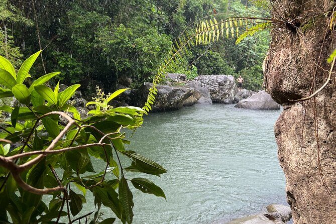 Rainforest Adventure All inclusive Food and Fotos - Why the guide experience can make or break the day