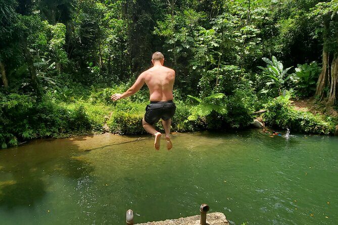 Rainforest and Junglequi Zipline Combo Tour - After the Lines: Nature Walk and Natural Pools (Weather Is the Boss)