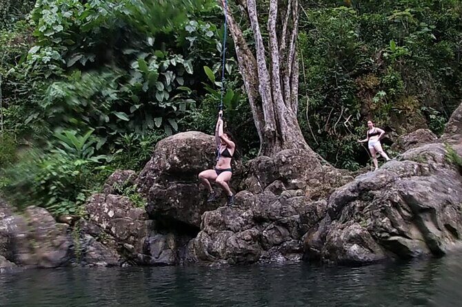 Rainforest River Hike and Waterfalls Adventure - Frutera Flores: a quick, local tropical fruit break