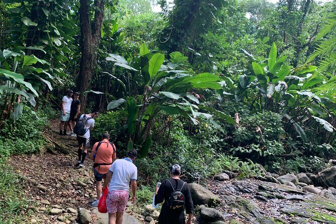 Rainforest River Nature Walk Adventure and Luquillo Beach - San Juan pickup and a tight 5-hour rhythm