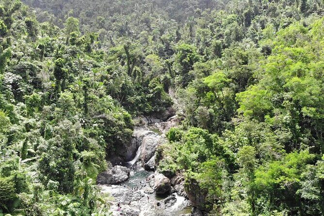Rainforest River Nature Walk Adventure and Luquillo Beach - El Yunque time at Puente Roto and the Rio Mameyes walk