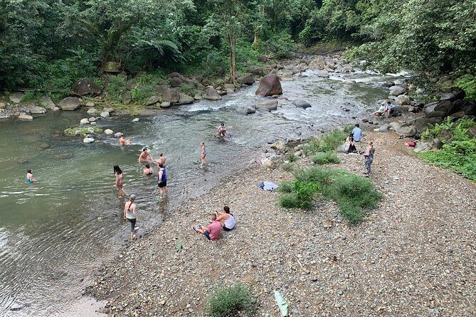 Rainforest River Nature Walk Adventure and Luquillo Beach - Who should book (and who should skip) this rainforest river swim day