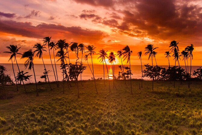 Rincon Tour Sunset & Nightlife Experience - Key Things To Know Before You Go