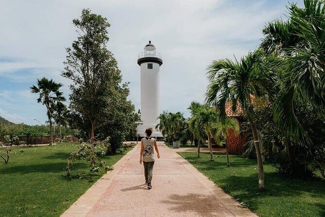 Rincon Tour Sunset & Nightlife Experience - Touring Rincón’s Surfing Side: History Told Like a Walk, Not a Lecture