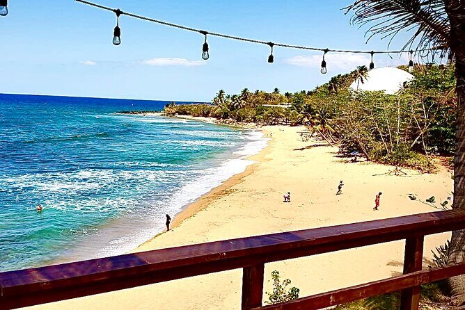 San Juan Airport to Fajardo and Ceiba One Way Trip - Meeting at SJU: Exact Pickup Points That Cut Confusion
