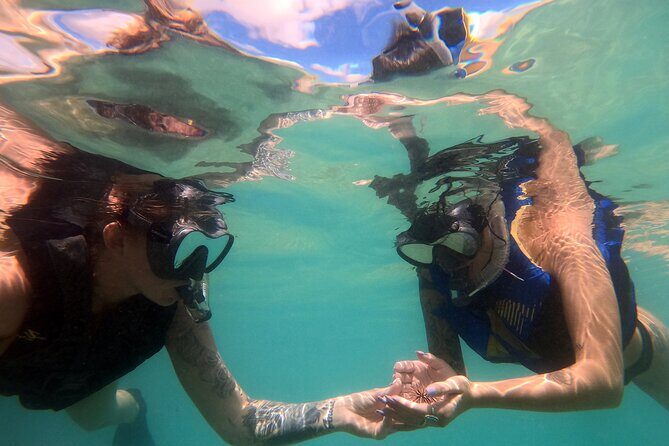 San Juan Guided Snorkel With Turtles Tour and Videos - Shore-Entry Logistics: Meeting at FW85+FPH and Then Straight Into the Water