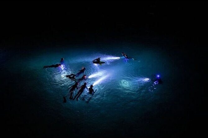 San Juan LED Night Snorkel - Price and Value: Is $70 Worth Night Snorkeling?